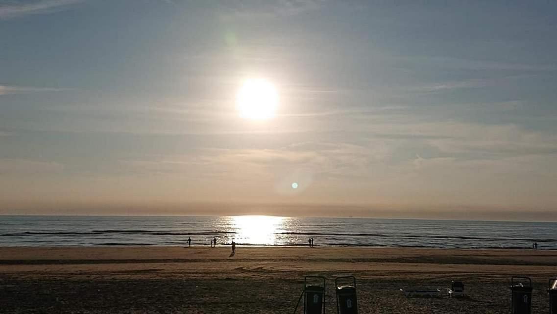 Beach&Dunes Apartment ซานด์โวร์ต ภายนอก รูปภาพ