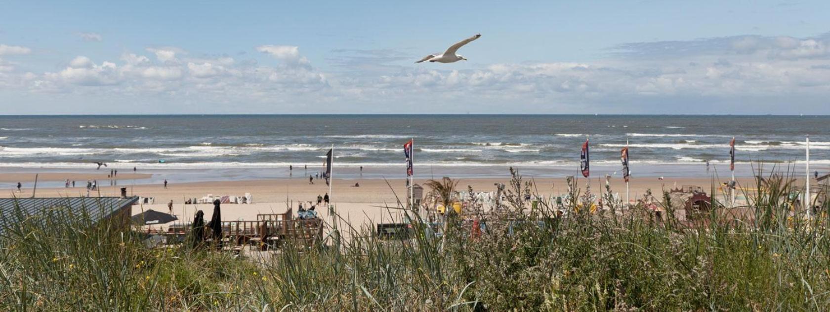 Beach&Dunes Apartment ซานด์โวร์ต ภายนอก รูปภาพ