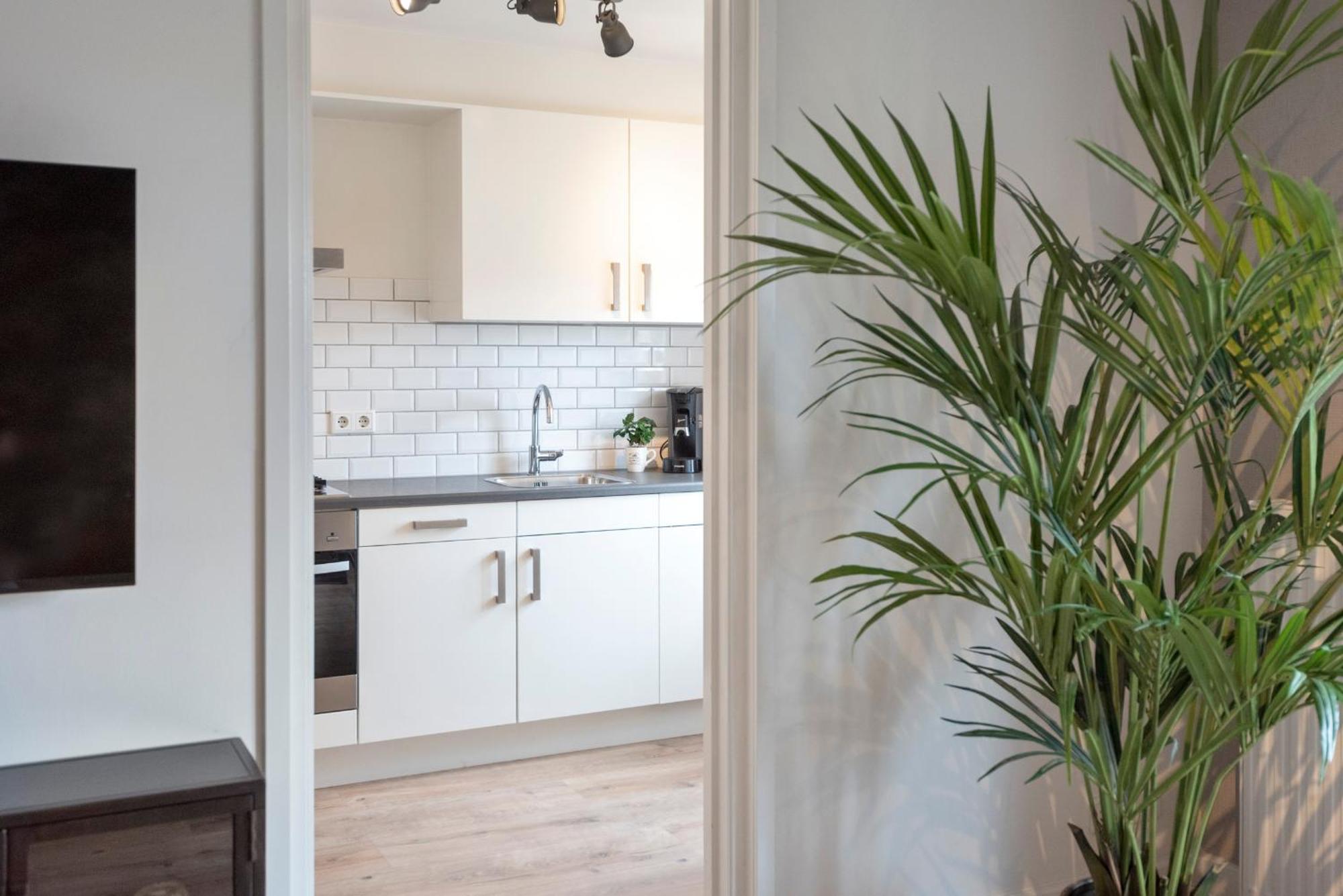 Beach&Dunes Apartment ซานด์โวร์ต ภายนอก รูปภาพ