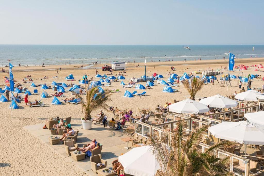 Beach&Dunes Apartment ซานด์โวร์ต ภายนอก รูปภาพ