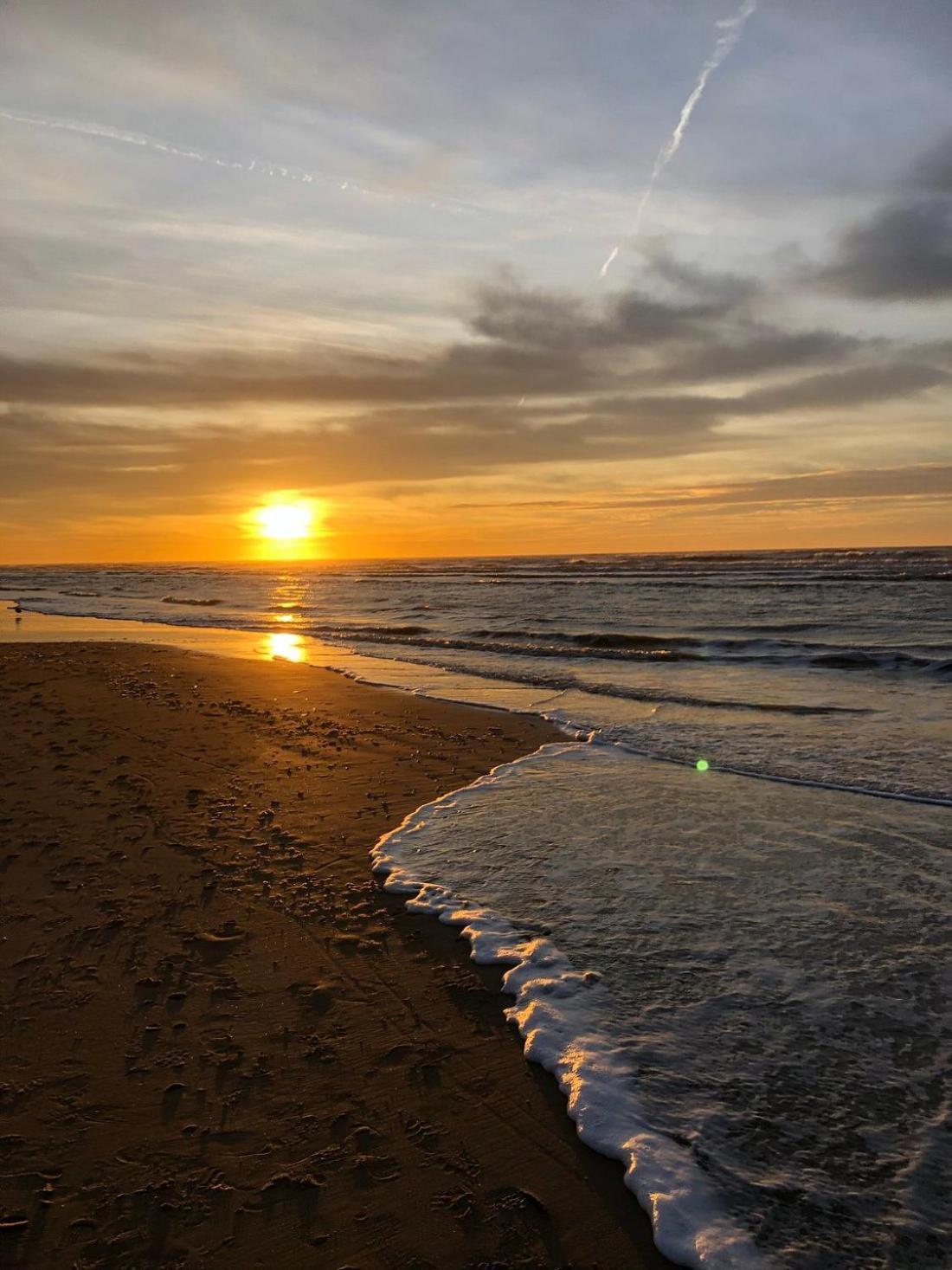 Beach&Dunes Apartment ซานด์โวร์ต ภายนอก รูปภาพ