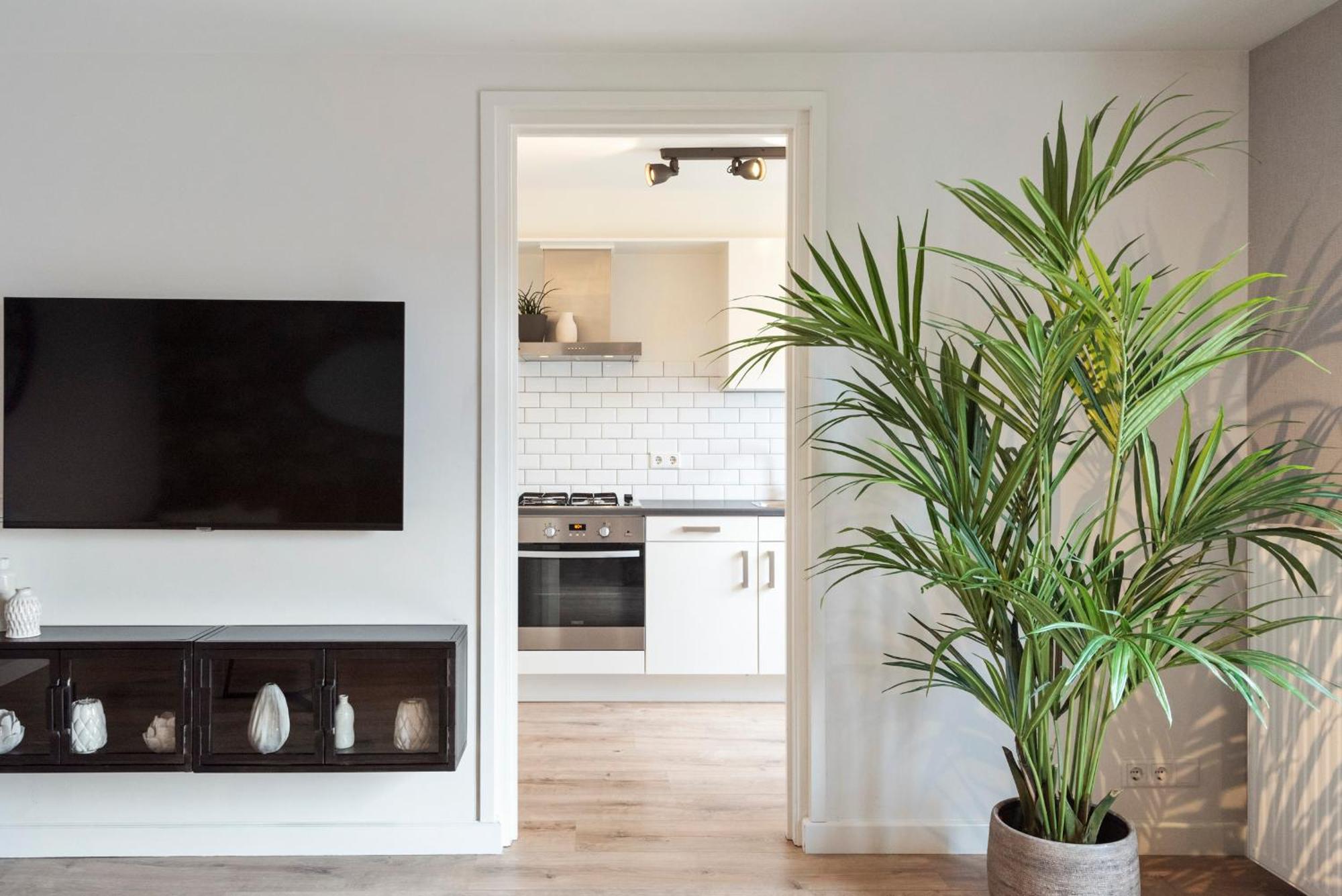 Beach&Dunes Apartment ซานด์โวร์ต ภายนอก รูปภาพ
